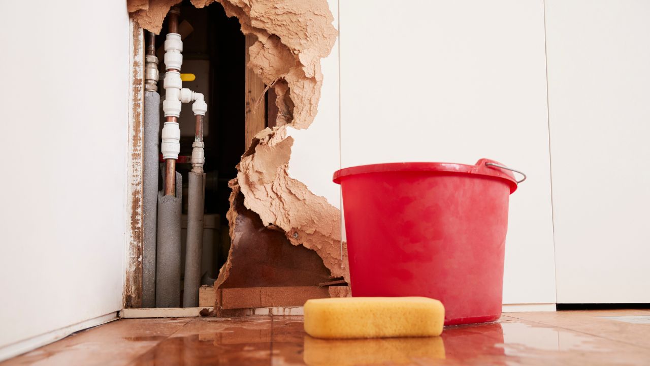 Burst Pipe Water Damage Repair Near Me